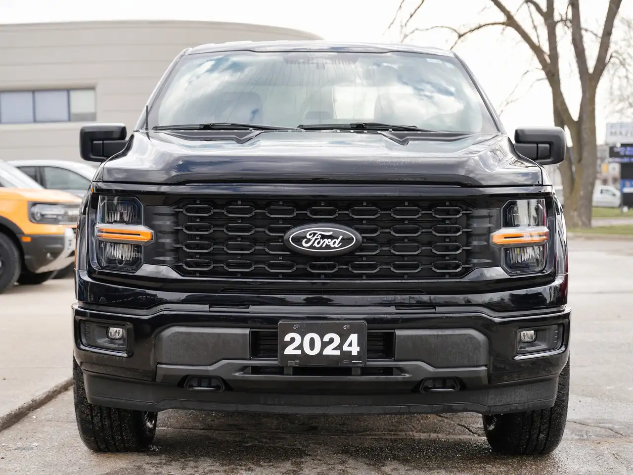 Ford F 150 fotografie Ford F 150