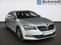 Skoda Superb Kombi 2,0 TDI 4x4 Ambition Grau - thumbnail 6