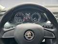 Skoda Superb Kombi 2,0 TDI 4x4 Ambition Grau - thumbnail 9