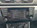 Skoda Superb Kombi 2,0 TDI 4x4 Ambition Grau - thumbnail 30
