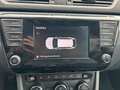 Skoda Superb Kombi 2,0 TDI 4x4 Ambition Grau - thumbnail 31