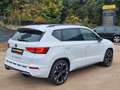 CUPRA Ateca 4Drive PANO AHK 8-FACH ACC Weiß - thumbnail 47