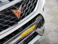 CUPRA Ateca 4Drive PANO AHK 8-FACH ACC Weiß - thumbnail 24