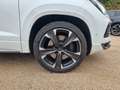 CUPRA Ateca 4Drive PANO AHK 8-FACH ACC Weiß - thumbnail 49