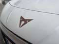 CUPRA Born Born 58kWh Blanco - thumbnail 24
