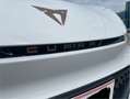CUPRA Born Born 58kWh Blanco - thumbnail 23