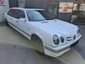 Mercedes-Benz E 320 Classic Aut. *7-Sitzer*Leder*Erdgas-Benzin* Weiß - thumbnail 2