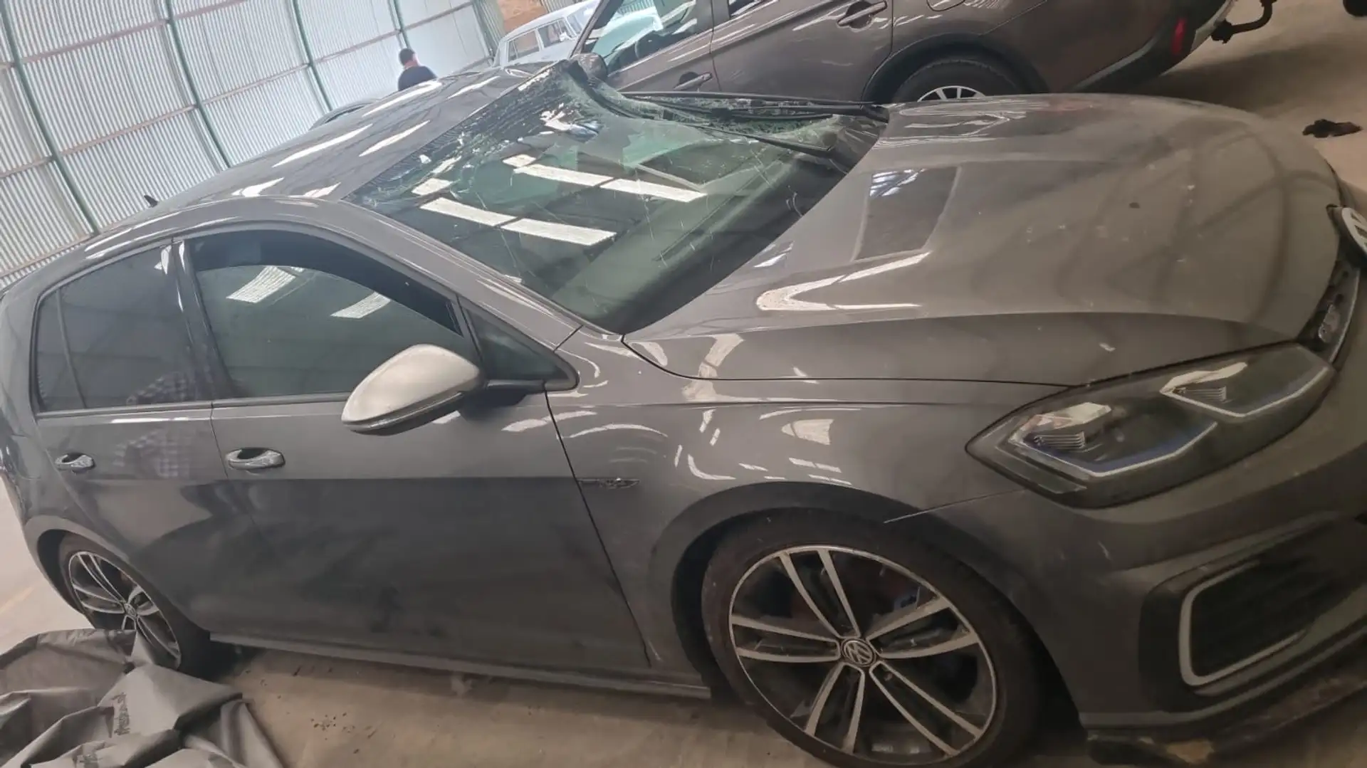 Volkswagen Golf GTE Gris - 1