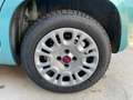 Fiat Panda Panda 1.2 Pop 69cv E6 Blau - thumbnail 11