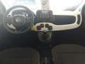 Fiat Panda Pandina MY25-Pandina Cross Blau - thumbnail 4