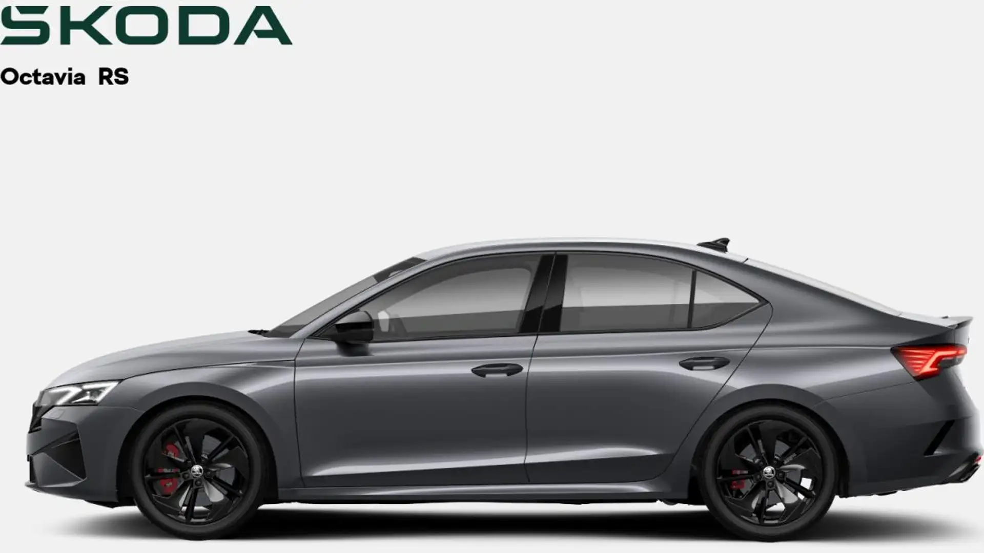 Skoda Octavia RS 2.0 TSI DSG -Bestellfahrzeug- Grau - 2