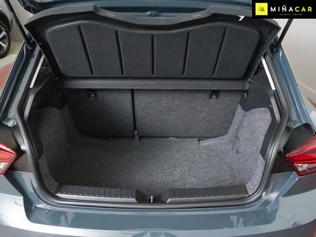 Seat Ibiza view 22
