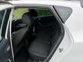 SEAT Ibiza 1,4 Sport Weiß - thumbnail 8