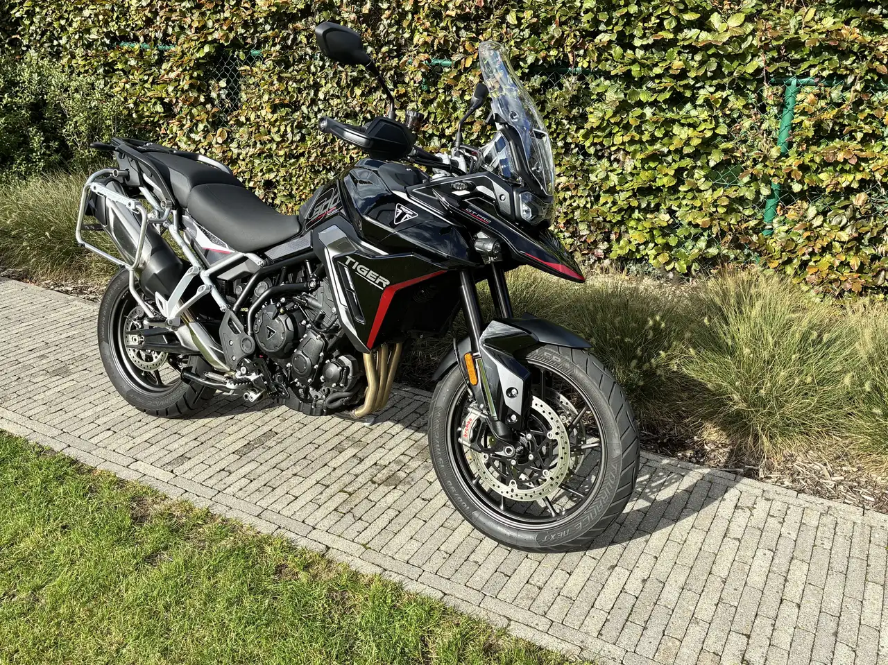 Triumph Tiger 900