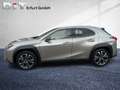 Lexus UX 250h UX 250 h 250h Style Edition ACC+LED+SHZ+Klima - thumbnail 2