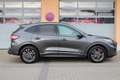 Ford Kuga ST-LINE X 1.5 EcoBoost PANO NAVI Gris - thumbnail 28