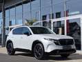 Mazda CX-5 2.5 G141 6AT HOMURA PANO Leder Weiß - thumbnail 9