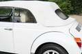 Volkswagen Beetle 1303 Convertible "Champagne Edition" Restored cond Blanco - thumbnail 22