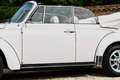 Volkswagen Beetle 1303 Convertible "Champagne Edition" Restored cond Blanco - thumbnail 28