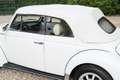 Volkswagen Beetle 1303 Convertible "Champagne Edition" Restored cond Blanco - thumbnail 16