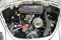 Volkswagen Beetle 1303 Convertible "Champagne Edition" Restored cond Blanco - thumbnail 25