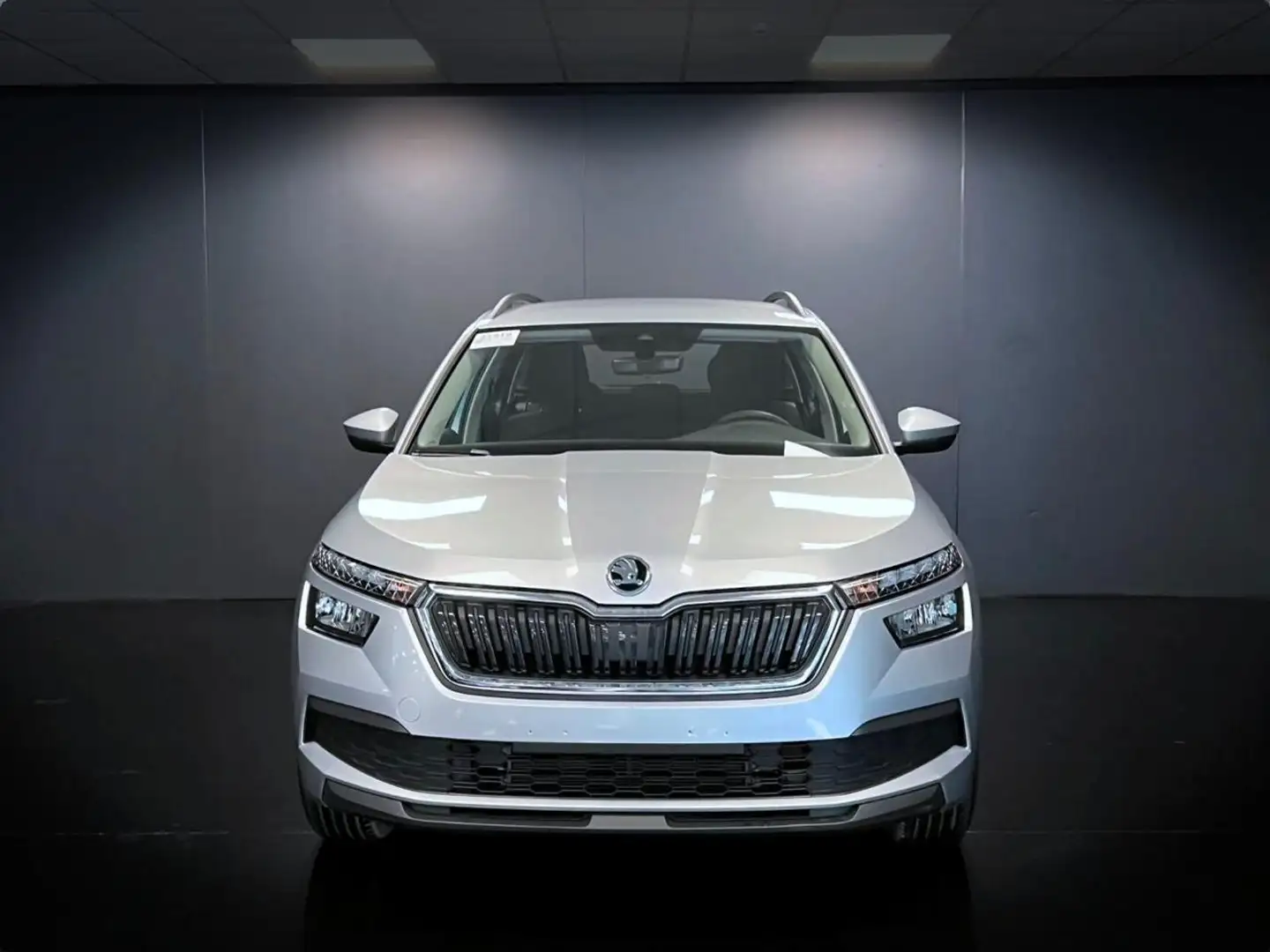 Skoda Kamiq 1.0 TSI Ambition Argento - 2