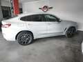 BMW X4 xDrive 20dA Plateado - thumbnail 8