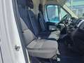 Fiat Ducato FURGONE COIBENTATO PM TA 23. 150 CV EURO6 Bianco - thumbnail 14