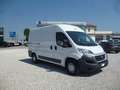 Fiat Ducato FURGONE COIBENTATO PM TA 23. 150 CV EURO6 Bianco - thumbnail 9