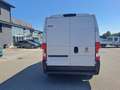 Fiat Ducato FURGONE COIBENTATO PM TA 23. 150 CV EURO6 Bianco - thumbnail 5