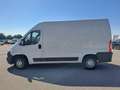 Fiat Ducato FURGONE COIBENTATO PM TA 23. 150 CV EURO6 Bianco - thumbnail 3