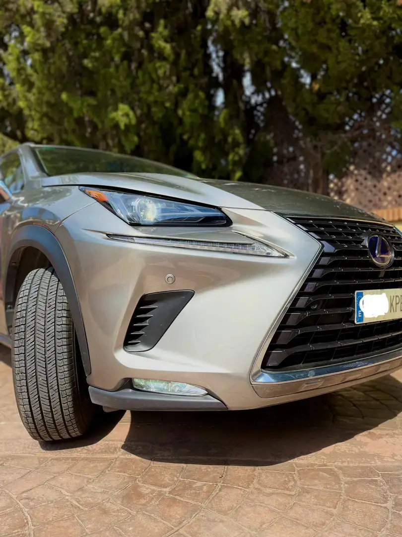 Lexus NX 300h Business Navigation 2WD - 2