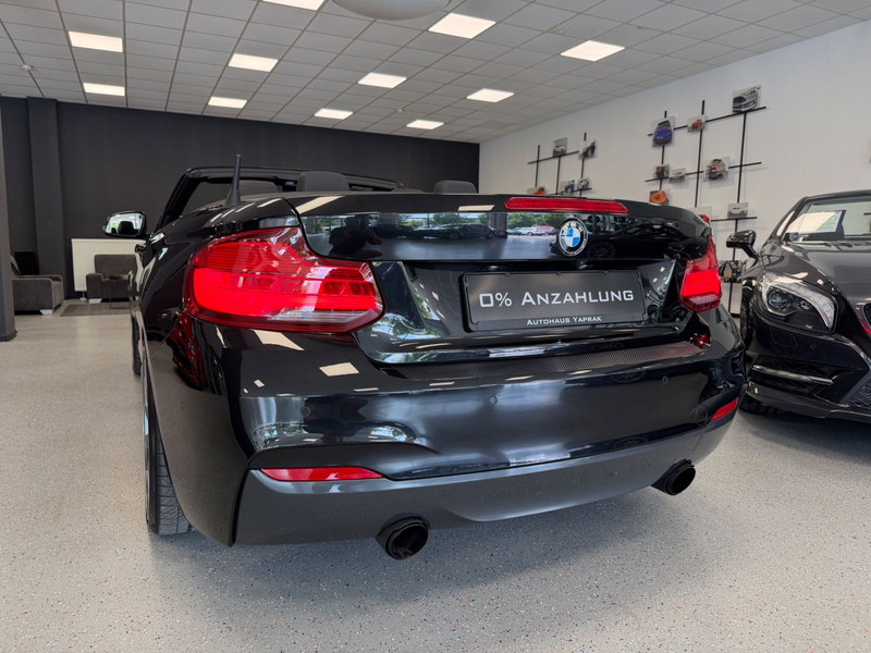 BMW 240 Cabrio|xDrive|BBS|H/K|Kamera|BMW Service — photo 8