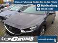 Mazda CX-30 2.5L e-SKYACTIV G Automatik Exclusive Gris - thumbnail 1