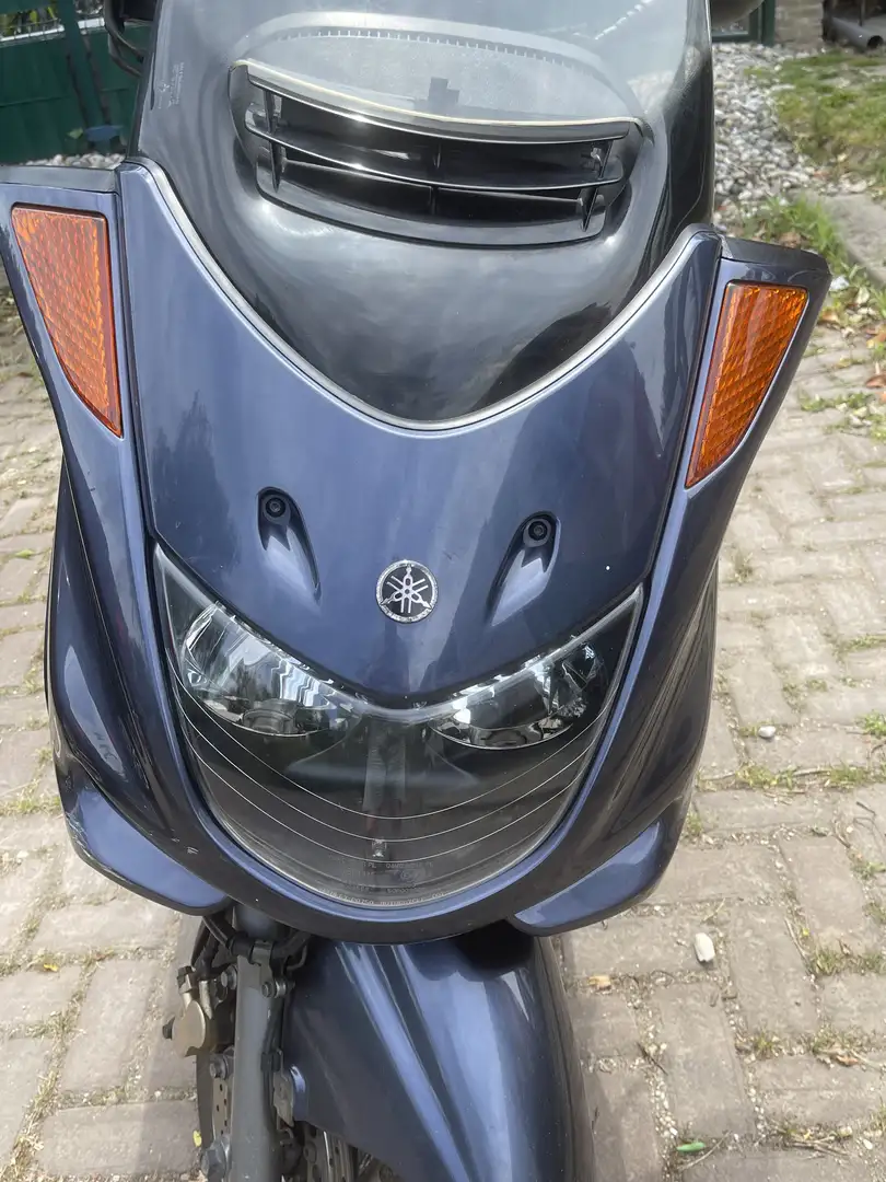 Yamaha Majesty 250 YP 250 Blauw - 2