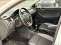 Skoda Rapid/Spaceback Spaceback Joy Panoramadach PDC V+H Weiß - thumbnail 15