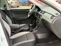 Skoda Rapid/Spaceback Spaceback Joy Panoramadach PDC V+H Weiß - thumbnail 14