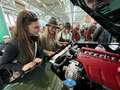 Land Rover Defender V8 PickUp Grün - thumbnail 7