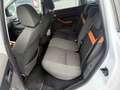 Ford Kuga Trend/AHK/Navi/PDC Weiß - thumbnail 8