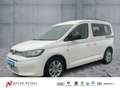 Volkswagen Caddy Kombi 2.0 TDI LIFE 2xPDC+GRA+ZV+LM+DAB+ Wit - thumbnail 1