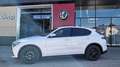 Alfa Romeo Stelvio 2.2 JTDM Business Q4 (EURO 6d) Weiß - thumbnail 2