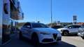 Alfa Romeo Stelvio 2.2 JTDM Business Q4 (EURO 6d) Weiß - thumbnail 7