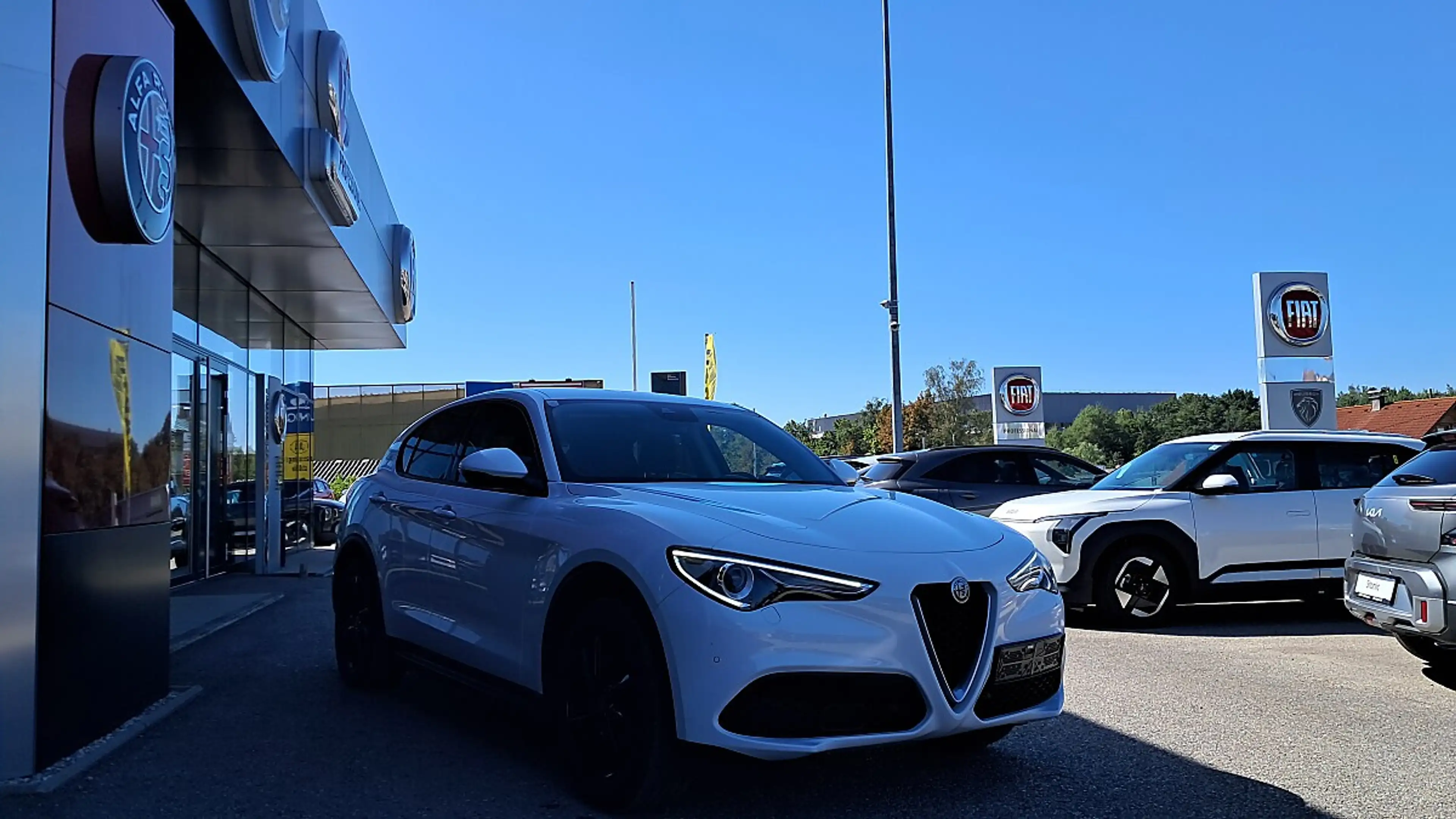 Alfa Romeo Stelvio 2.2 JTDM Business Q4 (EURO 6d) — photo 7