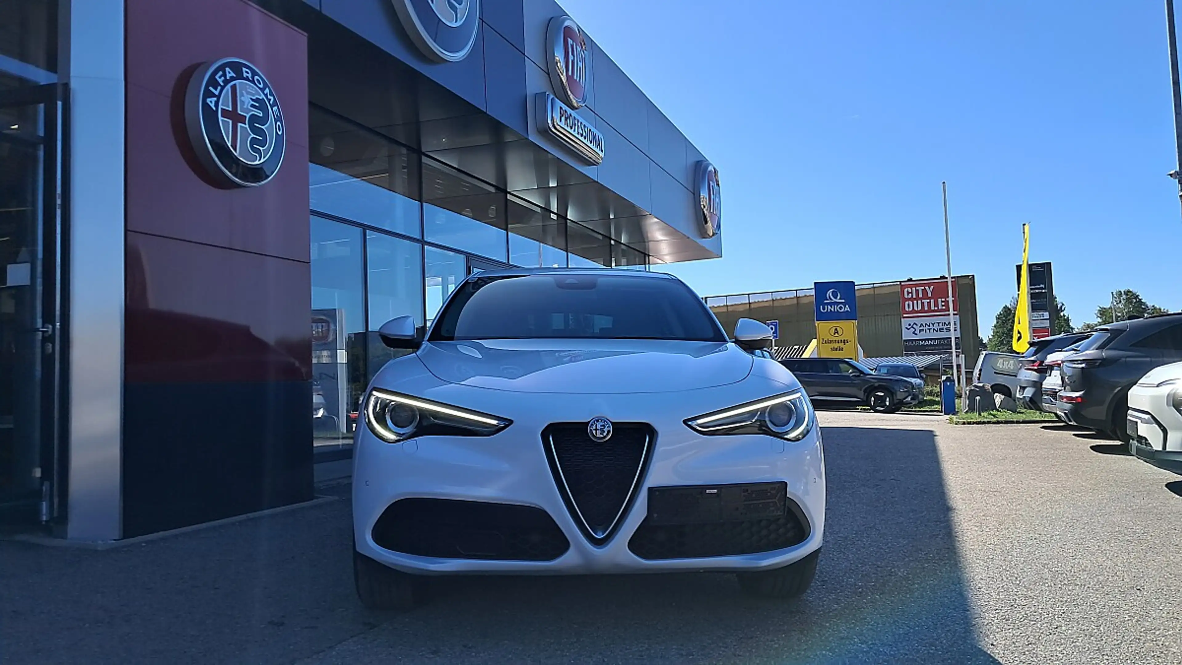 Alfa Romeo Stelvio 2.2 JTDM Business Q4 (EURO 6d) — photo 8