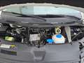 Volkswagen T6 Transporter 2.0 TDI 150PS 4motion lang Allrad Blanc - thumbnail 34
