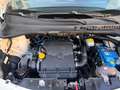 Fiat 500L 500L 1.4 Lounge 95cv  GPL Bianco - thumbnail 5