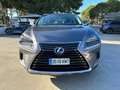 Lexus NX 300h Business Navigation 2WD Gris - thumbnail 2