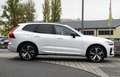 Volvo XC60 Plus Dark Recharge Plug-In Hybrid T6 AWD Weiß - thumbnail 4