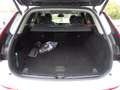 Volvo XC60 Plus Dark Recharge Plug-In Hybrid T6 AWD Weiß - thumbnail 16