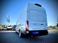 Ford Transit Transit Kasten Trend 350L4H3 2,0 EcoBlue 165PS ... Weiß - thumbnail 5